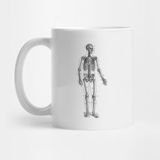 Forward Facing Skeletal Diagram - Vintage Anatomy Mug